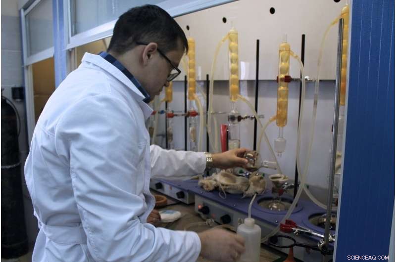 Gamma‑Ray Resonance Analysis of Catalysts for Steam‑Assisted Oil Extraction