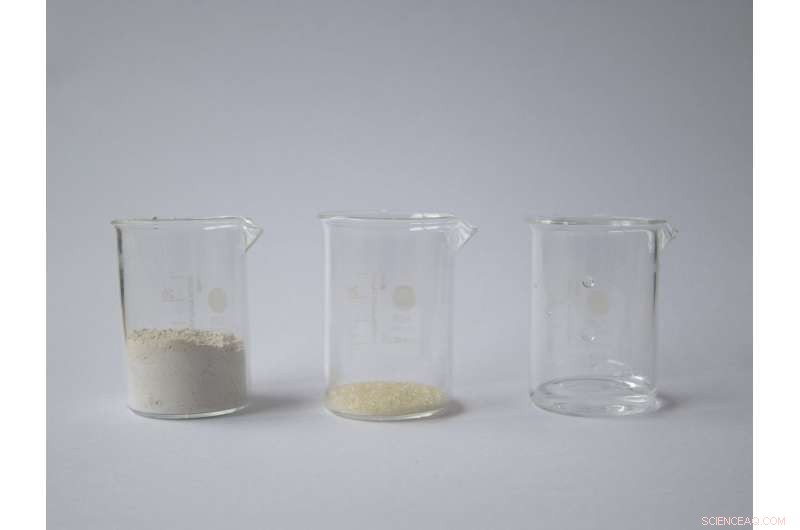 Mussel Shells: Lessons for a Circular Economy