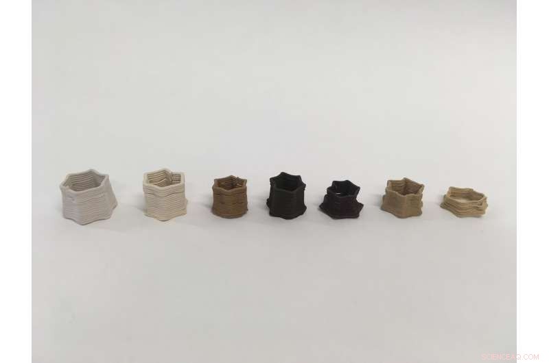 Mussel Shells: Lessons for a Circular Economy