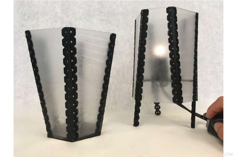 Mussel Shells: Lessons for a Circular Economy