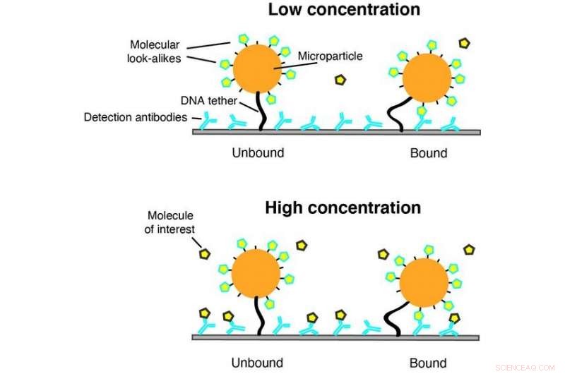Next-Gen Biosensor: Continuous Monitoring with Molecular Mimics