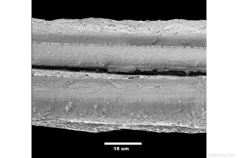 Using Natural Fibers to Enhance Satellite Safety and Mission Success