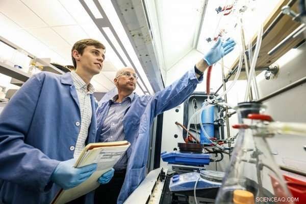 New Study Reveals Metal- and Enzyme-Free Krebs Cycle, Providing Fresh Insights into Life’s Origins