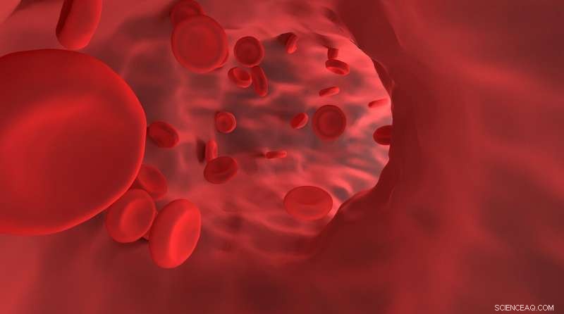 Revolutionary Imaging Technique Enhances Diagnostic Precision and Treatment Outcomes