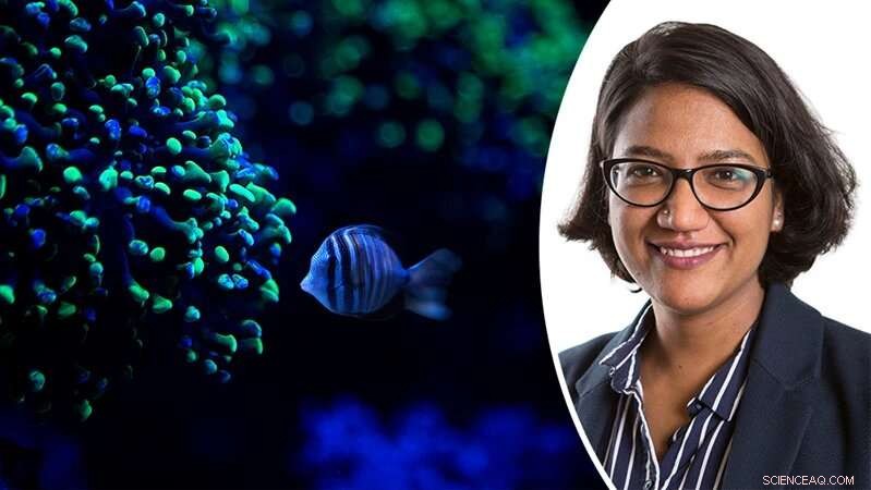 Biobased Materials Illuminate Textiles with Sustainable Glow