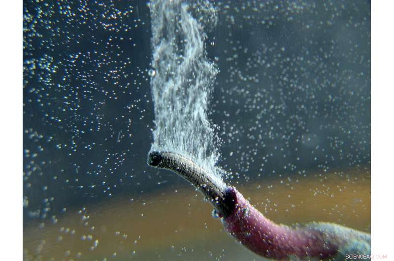 Breakthrough Insight Accelerates Sustainable Hydrogen Production