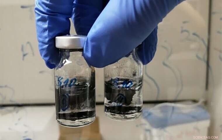 Complex Metabolism May Have Self-Assembled from Simple Precursors—New Insight into Life’s Origin