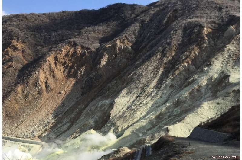 Complex Metabolism May Have Self-Assembled from Simple Precursors—New Insight into Life’s Origin