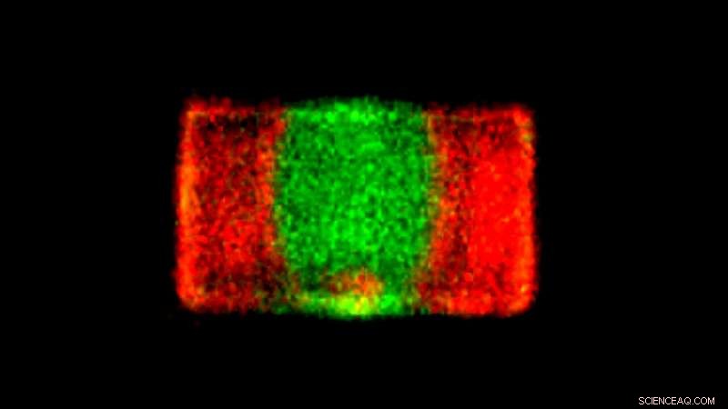 Intense Light Drives Next‑Gen Solar Technology Through a Challenging Phase