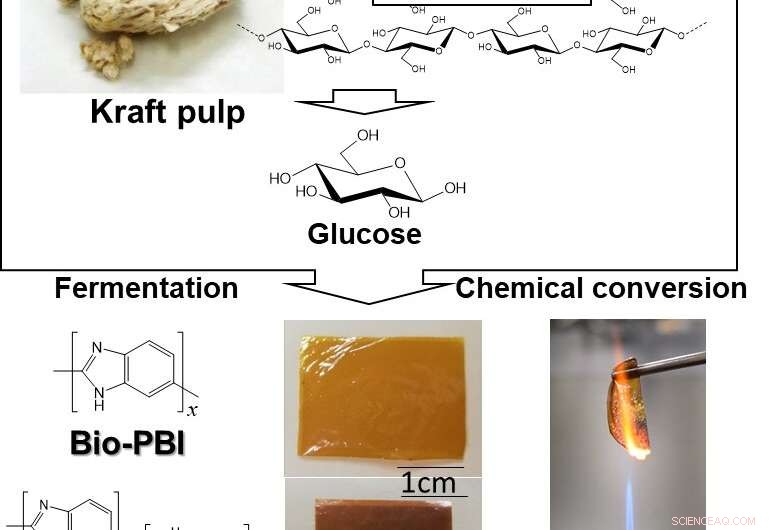 Record‑Breaking Heat‑Resistant Plastic Created from Biomass