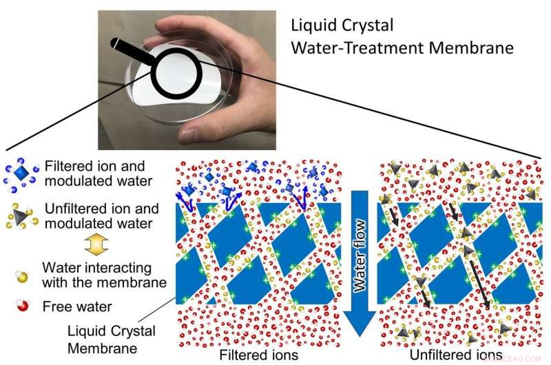 Revolutionary Water Filtration: How Selective Membranes Harness Water’s Own Properties