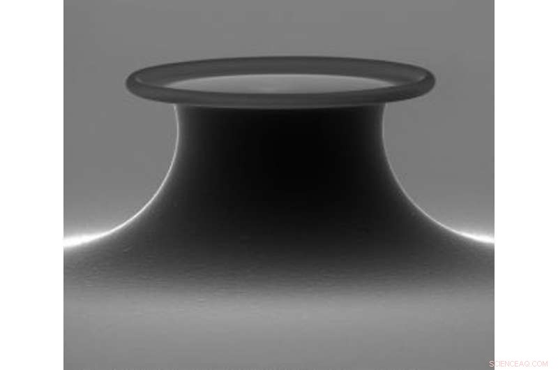 Compact Circular Optical Resonator Enables Rapid Single-Molecule Detection