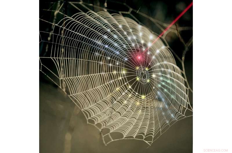 Spiderweb-Inspired Architecture Boosts 3‑D Photodetection at Purdue University