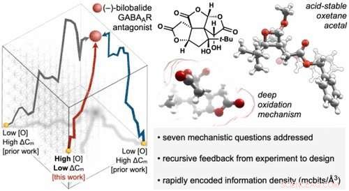 Scripps Research Unveils New Framework for Efficient Synthesis of Complex, Information-Dense Molecules