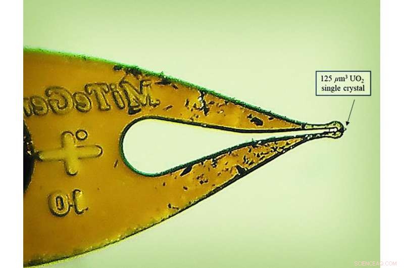 Insights from a Single Crystal: Uncovering Nuclear Materials Processing