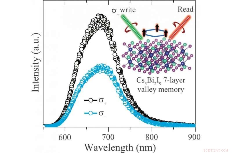 Exciting Prospects for the Novel 2‑D Cs3Bi2I9 Perovskite-Derived Compound