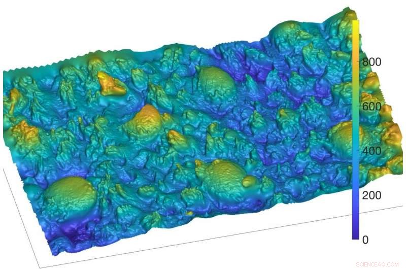 Scientists Produce First 3‑D Printed Biomimetic Tongue Surface
