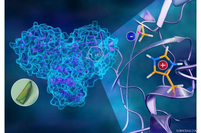 Neutron Imaging Reveals Atomic Blueprint of SARS-CoV-2 Replication