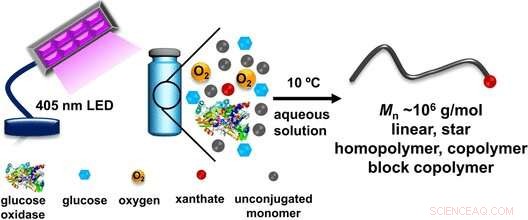 Ultraheavy Precision Polymers: Sustainable Synthesis of Narrow-MW Polymers