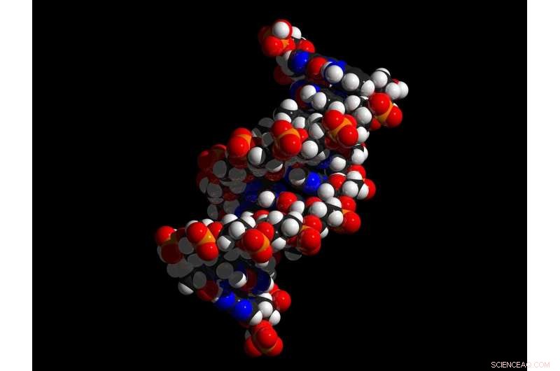 Scientists Identify Proton Regulator that Controls Key Cancer-Related microRNA