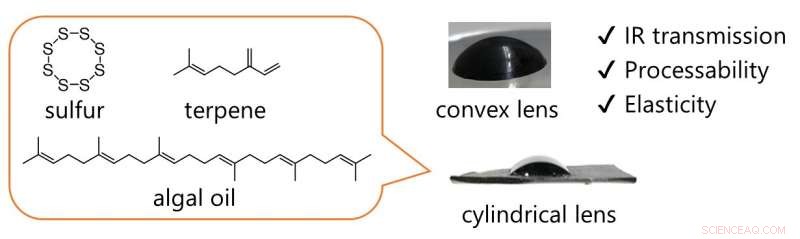 Algae‑Based Polymers Enhance Night Vision with Sustainable Lenses