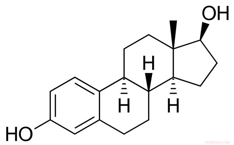 PFASs Modulate Estrogen Signaling: Estrogen-Dependent Estrogenic and Anti-Estrogenic Effects