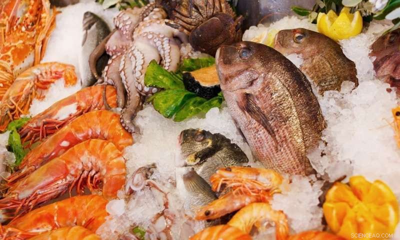 Real‑Time Seafood Spoilage Detection: A Smart, Commercially Viable Solution