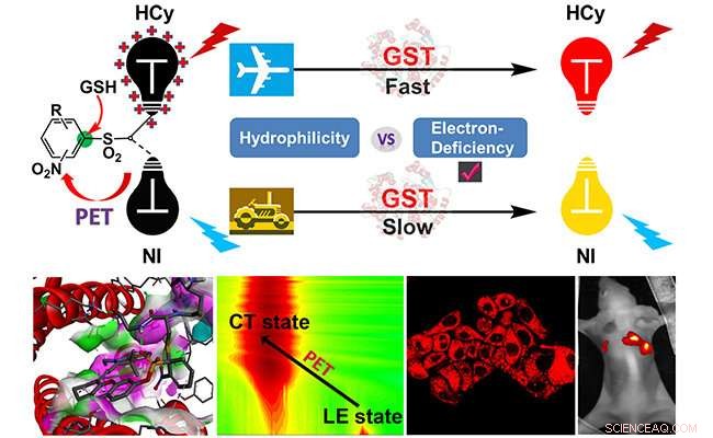 How Fluorophore Electron Deficiency Enhances Near-Infrared Probe Recognition