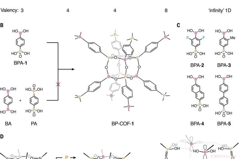 Boron‑Phosphorus COF Breakthrough: Enhanced Connectivity in Covalent Organic Frameworks