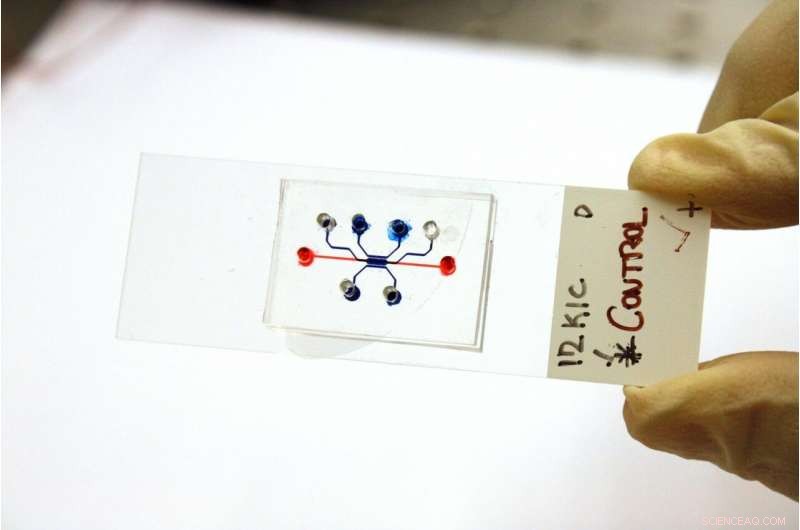 Innovative Microfluidic Time Machine Revolutionizes Pancreatic Cancer Drug Testing