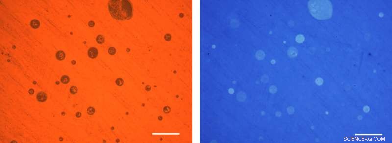 New Mask Technology Deactivates Virus, Protecting Those Around You