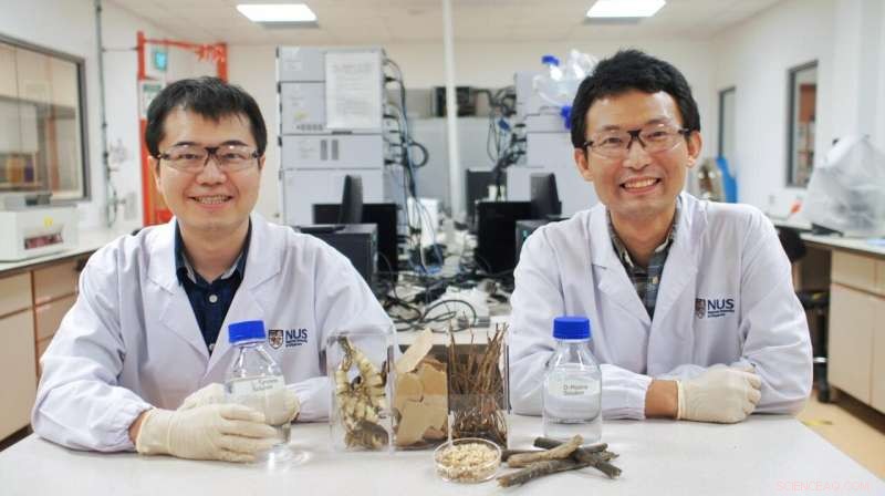 NUS Researchers Pioneer Upcycling Process Turning Waste into High-Value Amino Acid Supplements