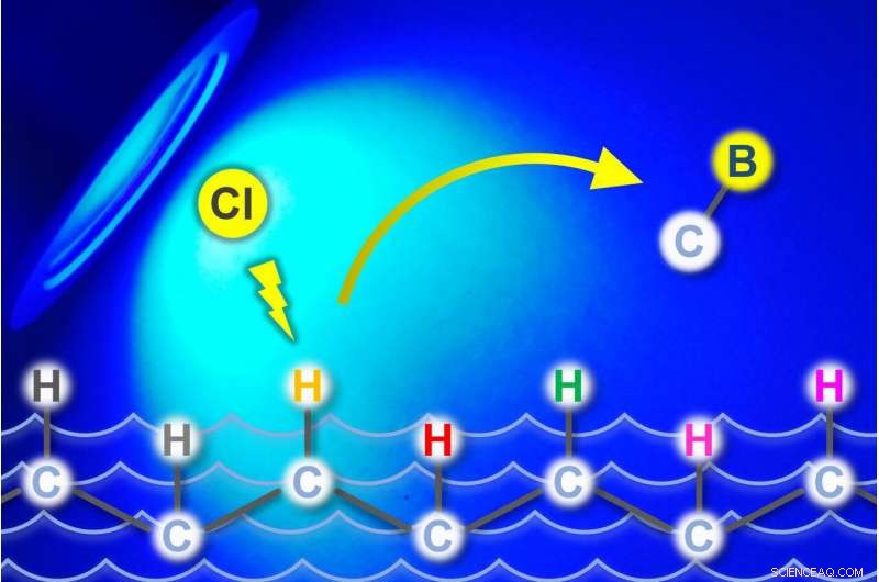 High-Precision Boron Functionalization via a Novel Photochemical Catalytic Method