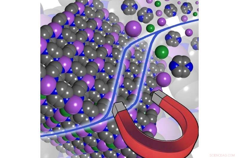 Advancing Next-Generation Molecule-Based Magnets for Cutting-Edge Technology