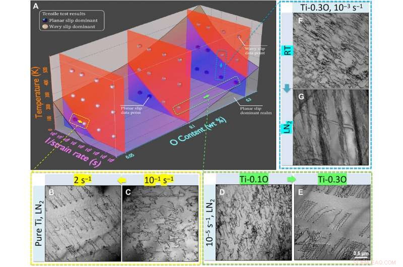 Unveiling the Mechanistic Basis of Oxygen Sensitivity in Titanium