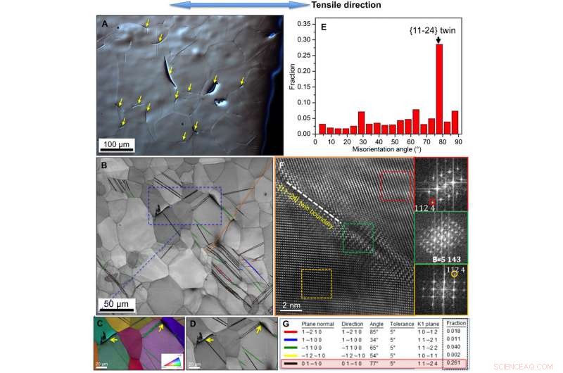 Unveiling the Mechanistic Basis of Oxygen Sensitivity in Titanium