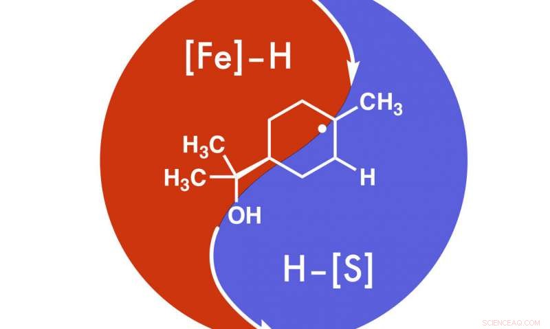 Accelerate Drug Development with Rice University s cHAT Technology
