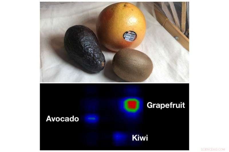 Smart Tablecloth Detects Fruit and Automates Plant Watering