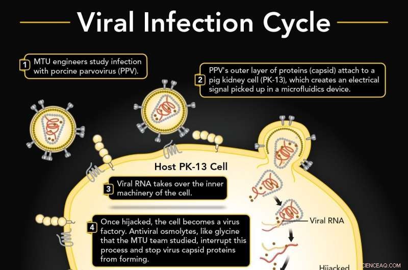 Real‑Time Viral Infection Monitoring via Microfluidic Technology