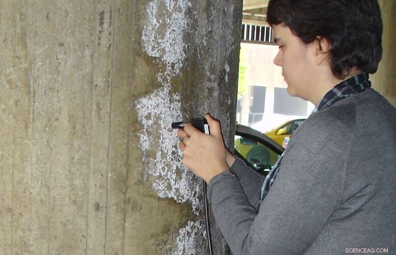 Assessing Biological and Chemical Degradation of 20th-Century Construction Materials