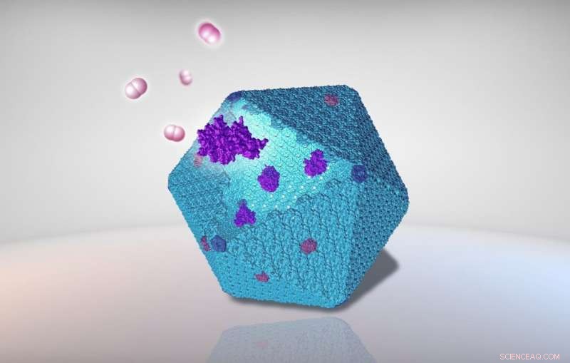 Liverpool Scientists Reveal Protein Nanobioreactor Advancing Sustainable Bioenergy