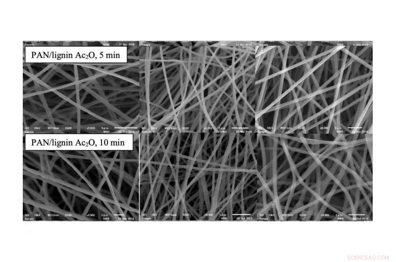 Turning Kraft Waste into Fuel‑Efficient Vehicles: A Sustainable Approach