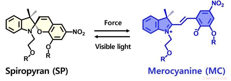 Spiropyran-Based Material Mimics Skin Bruising for Advanced Stress Sensing