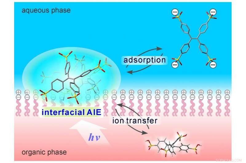 Revolutionizing Selective Membrane Imaging with Light-Activated Techniques