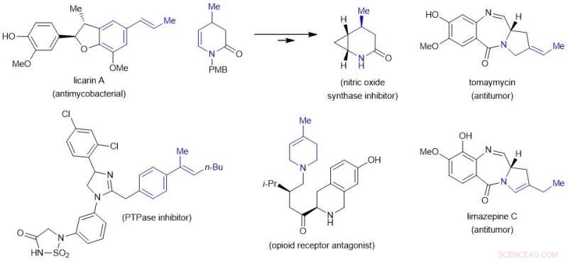 Harnessing Earth‑Abundant Iron Catalysts for Controlled Chain‑Walking in Olefins