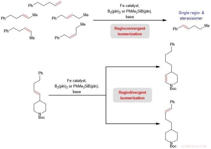Harnessing Earth‑Abundant Iron Catalysts for Controlled Chain‑Walking in Olefins