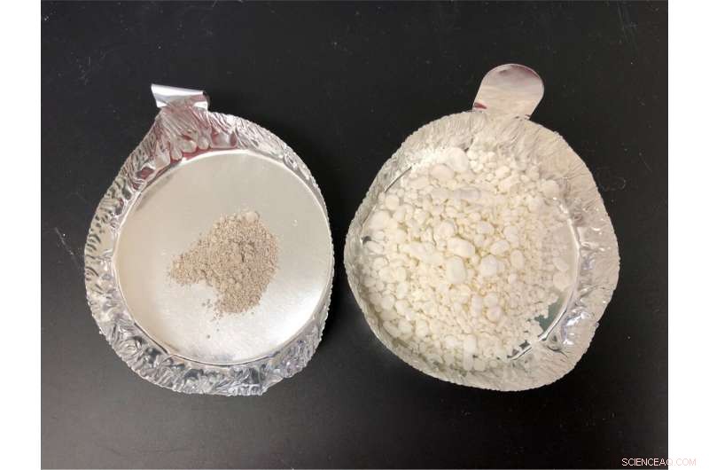 Transforming Hard Mussel Shells into Soft, Sustainable Calcium Carbonate Sponges