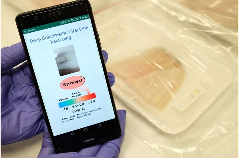 AI-Driven Electronic Nose Detects Meat Freshness Instantly