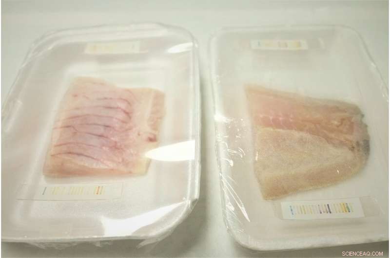 AI-Driven Electronic Nose Detects Meat Freshness Instantly