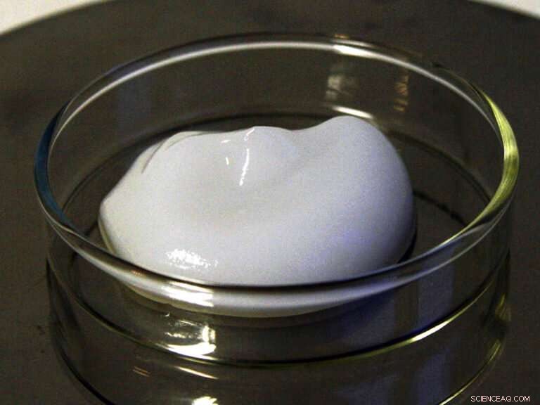 Tree and Plant-Derived Additives: The Next Frontier in Light Food Products